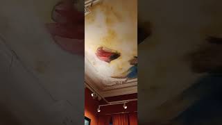 Mauritshuistravel amsterdamtouristartworkchannel youtubeshortsshortsvideoyoutuberyoutube [upl. by Linet737]