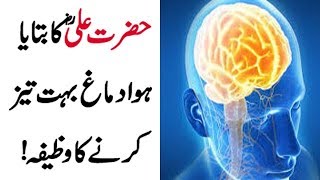 Wazifa Told By Hazrat Ali RA For Increase Memory  Qurani Wazaif [upl. by Barthelemy598]