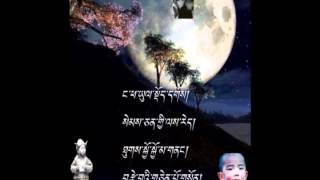 Tibetan Lyric Song Miyul མི་ཡུལ། [upl. by Cattan]