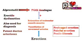 Prostaglandins Analogues Mechanism of action and their Therapeutic Use  PharmaCos [upl. by Appolonia]