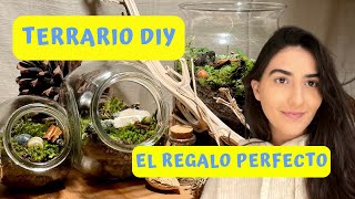 CÓMO HACER UN TERRARIO  MINI ECOSISTEMA CERRADO [upl. by Attenad]