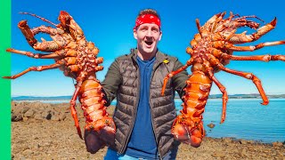 Australia’s GIANT Rock Lobsters Hand Caught Tasmanian Seafood [upl. by Teplitz]