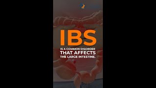 Do you have IBS  Symptoms  Irritable Bowel Syndrome [upl. by Sirraf]