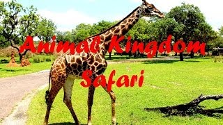 Kilimanjaro Safari at Animal Kingdom 2013 [upl. by Dorsman]