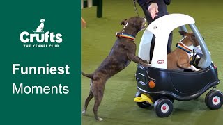 Funniest Moments amp Bloopers  Crufts 2023 [upl. by Aleron]