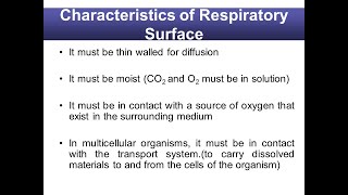 Respiration Types of respiration  characteristics of the respiratory surfaces Class 12 Biology [upl. by Sihunn]