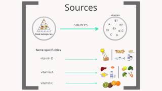 Micronutrients  basic knowledge [upl. by Mirabelle267]