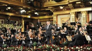 Bruckner  Symphony n 6  Jansons  Wiener Philharmoniker [upl. by Codding]