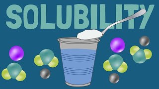 How Solubility and Dissolving Work [upl. by Pilif109]