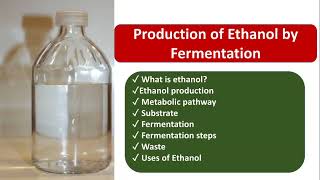 Ethanol production  Ethanol Fermentation  Substrate  steps  Uses  Pathway  waste  Hindi [upl. by Marsh]