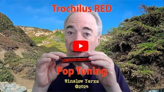 Introducing the Trochilus Pop tuning [upl. by Eniretac]