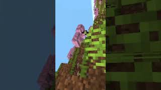 Elytra are Satisfying [upl. by Immak]