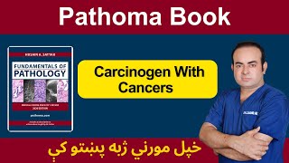 Pathoma Carcinogen With Cancers  Dr Sadiq Ali Lectures [upl. by Lynne]