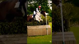 That transition😁cross equestrian horse equestrianvibes showjumping subscribe sports shorts [upl. by Season]