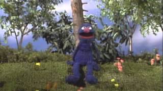 Sesame Street Grover and the Butterfly [upl. by Cirle664]