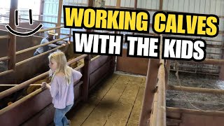 Working Calves With The Kids  Smiling Bovine Ranch [upl. by Candless]