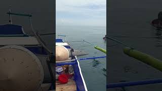 Craziest Fishing EVER Massive Billfish JawDropping Fishing Adventure [upl. by Natascha177]