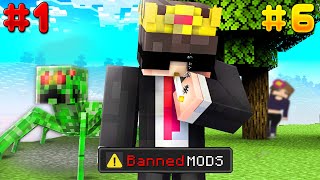 I Tried EVERY ILLEGAL BANNED Mod in Minecraft [upl. by Bullivant437]