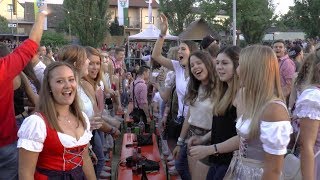 Die Partyfürsten  AltmainWeinfest Sand am Main 2018 [upl. by Nelo]