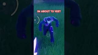 Fortnite lobby shenanigans fortnite fortnitememes fortniteclips fortniteshorts fortnitefunny [upl. by Ezitram]