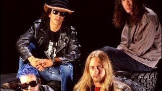 ALICE IN CHAINS  Brother Insecticide cover [upl. by Nylitsirk]