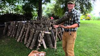 Agroforestry Cultivation of Shiitake Mushrooms [upl. by Ameer]