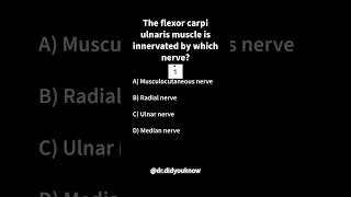 The flexor carpi ulnaris muscle is innervated by which nerve Anatomy [upl. by Zizaludba449]