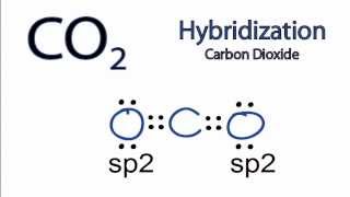 CO2 Hybridization Hybrid Orbitals for CO2 [upl. by Ecniuq902]