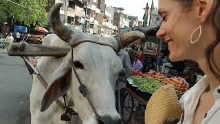 Paharganj Walking Shopping Food  Delhi Stepwell Agrasen Ki Baoli [upl. by Arimas826]