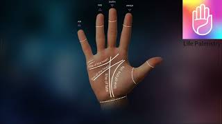 Life Palmistry ——Love Work Marriage Just Scan Your Palm to Explore Your Future  Free to Use [upl. by Wadesworth]