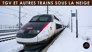 TGV et autres Trains sous la neige [upl. by Arne]