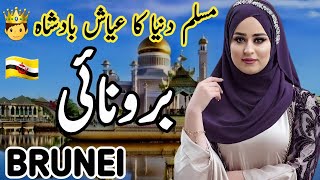 Travel to Brunei  History and Documentary about Brunei in Hindi amp Urdu [upl. by Areval]