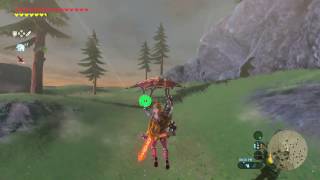 Zelda Breath of the Wild  Lynel Location 5 Zoras Domain  Ploymus Mountain [upl. by Donelson]