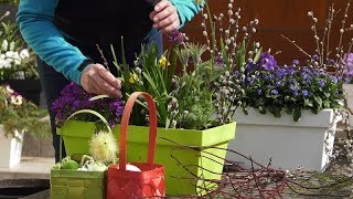 Wielkanocne dekoracje na balkony i tarasy Wierzba Iwa Pendula w pojemniku [upl. by Arret574]