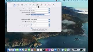 How to Clear Cookies in Safari on Mac [upl. by Yenruoj]