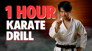 1 Hour Karate Workout Video [upl. by Nosirb]