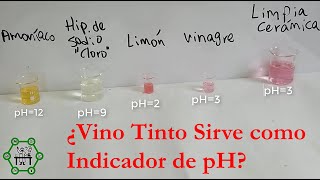 Indicador de pH Casero de Remolacha  ¿Vino Tinto Sirve como Indicador de pH  Tipo Ácido Débil [upl. by Yartnod]