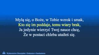 Zbliżam się w pokorze  wersja karaoke [upl. by Girand]