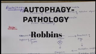 Autophagy Pathology Robbins Explained in hindi [upl. by Oigimer]