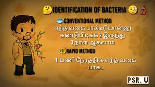 Identification of Bacteria  PsRU  Tamil [upl. by Tigdirb]