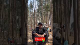 MBOSSO KHAN KWENYE UBORA WA OVAquotOVER mbosso ova newsong wasafi youtubeshorts love [upl. by Kcirdla]