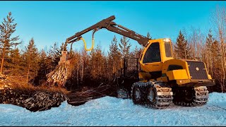 Biomass harvesting for power and heating plants in Finland with fast Nisula 335E tree shear [upl. by Kohn]