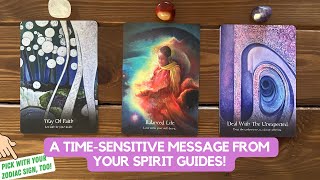 A TimeSensitive Message From Your Spirit Guides  Timeless Reading [upl. by Adnalro]