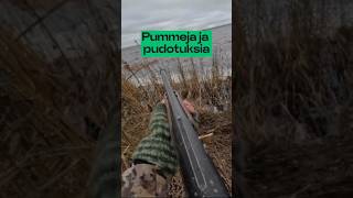 Pummeja ja pudotuksia [upl. by Lovel]