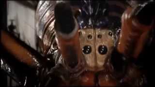 Arachnophobia II Trailer [upl. by Cotsen]