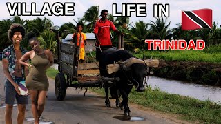 OMG Village Life in Trinidad amp Tobago is NOT What you Think 🇹🇹 [upl. by Coltson707]