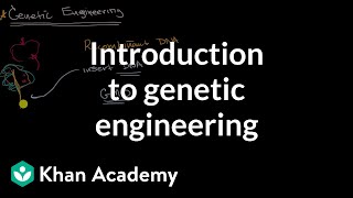 Introduction to genetic engineering  Molecular genetics  High school biology  Khan Academy [upl. by Xella]