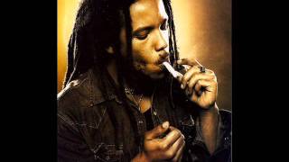 Stephen Marley  Pale Moonlight How many Times [upl. by Inoek]