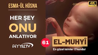 Allahın İsimleri  61 EL MUHYİ 4K [upl. by Yenots]