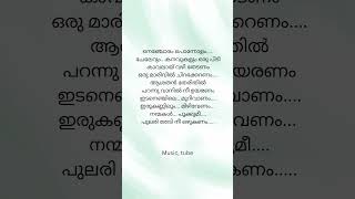 Thaniye mizhikal music malayalam love mudhalneemudivumneesong lyrics [upl. by Ttennaej]